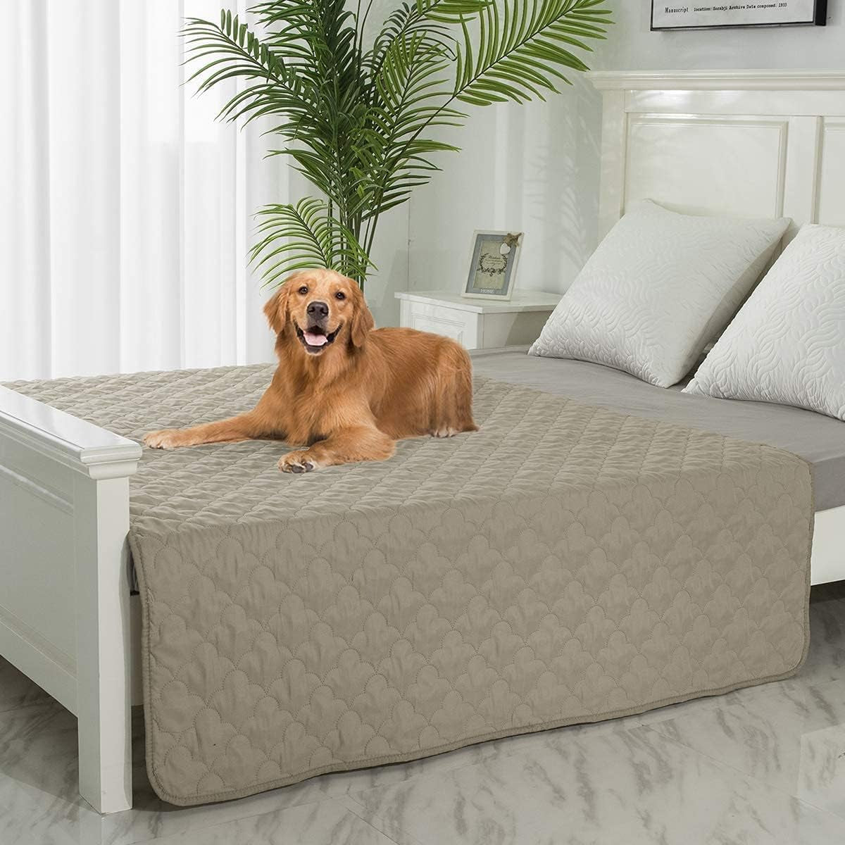 Dog Bed Cover Washable Pee Pads Dog Blankets for Puppy Large Dog Cat,Sofa Reversible Changing Pad Reusable 1 Piece（82"X102",Beige）