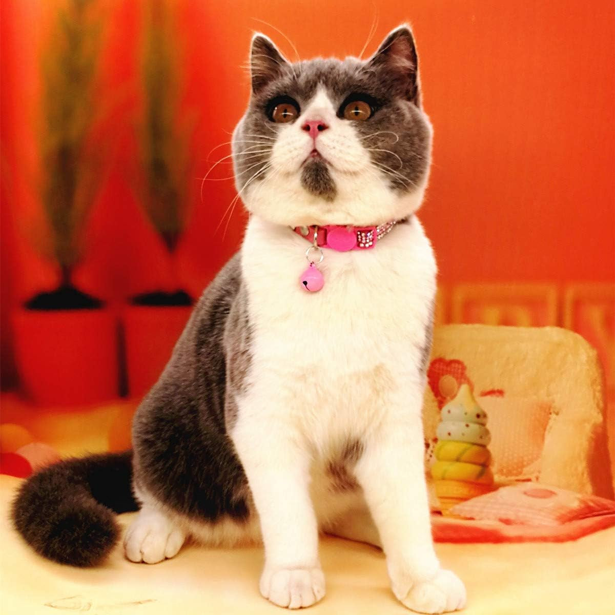 Basic Adjustable Cat Collar Bling Diamond Breakaway with Bell for Kitten Girl Boy (Pink)