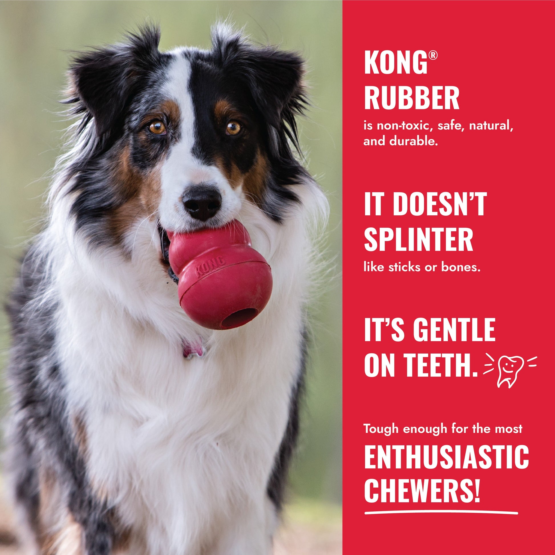 ® Classic Rubber Dog Toy for Average Chewers, Extra Large, for Dogs between 60-90 Lbs
